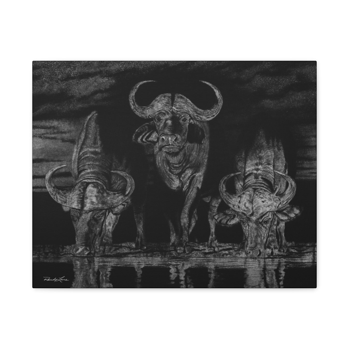 The Waterhole, Cape Buffalo,  Canvas Art