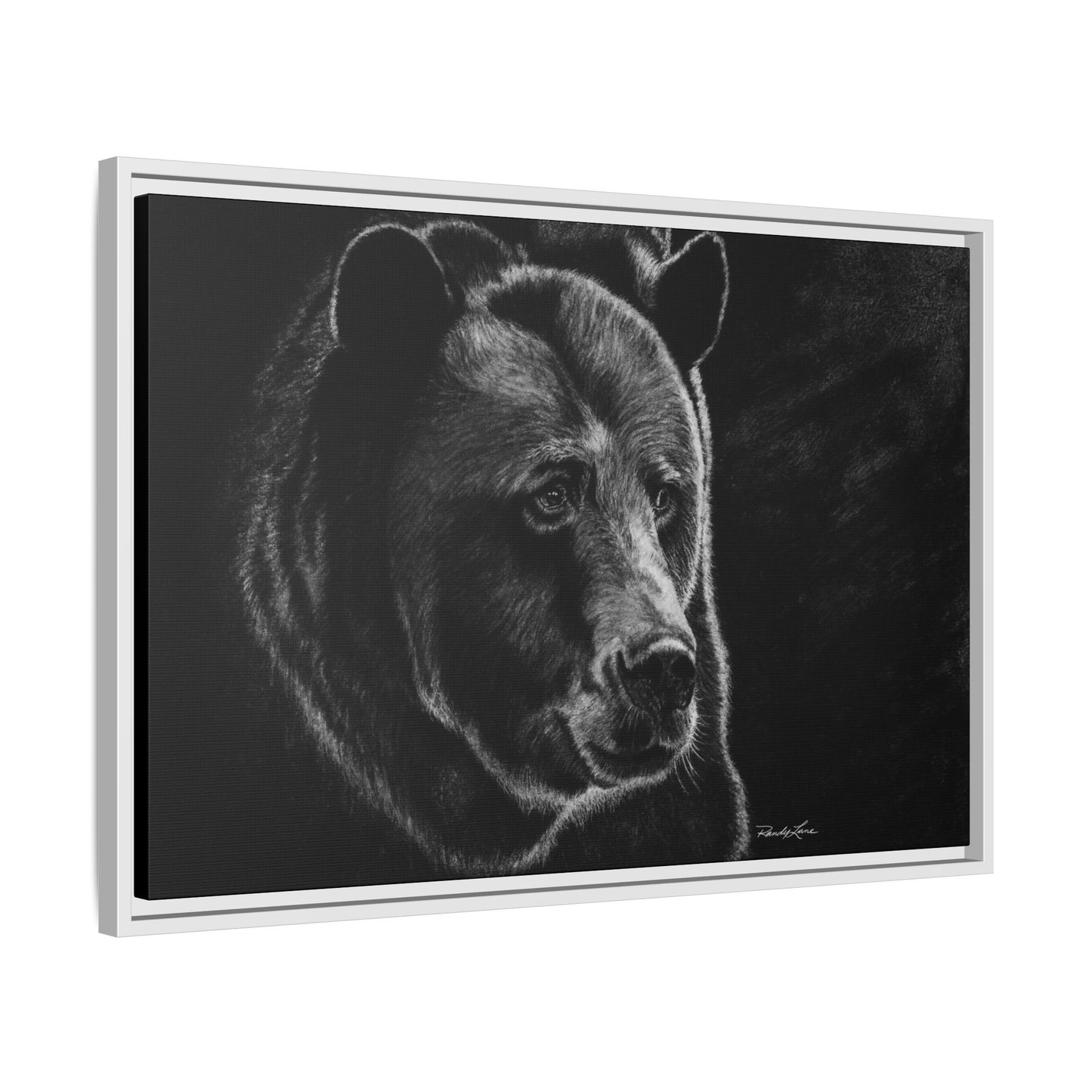 Dominance, Bear Portrait Stretched Framed Matte Canvas Print