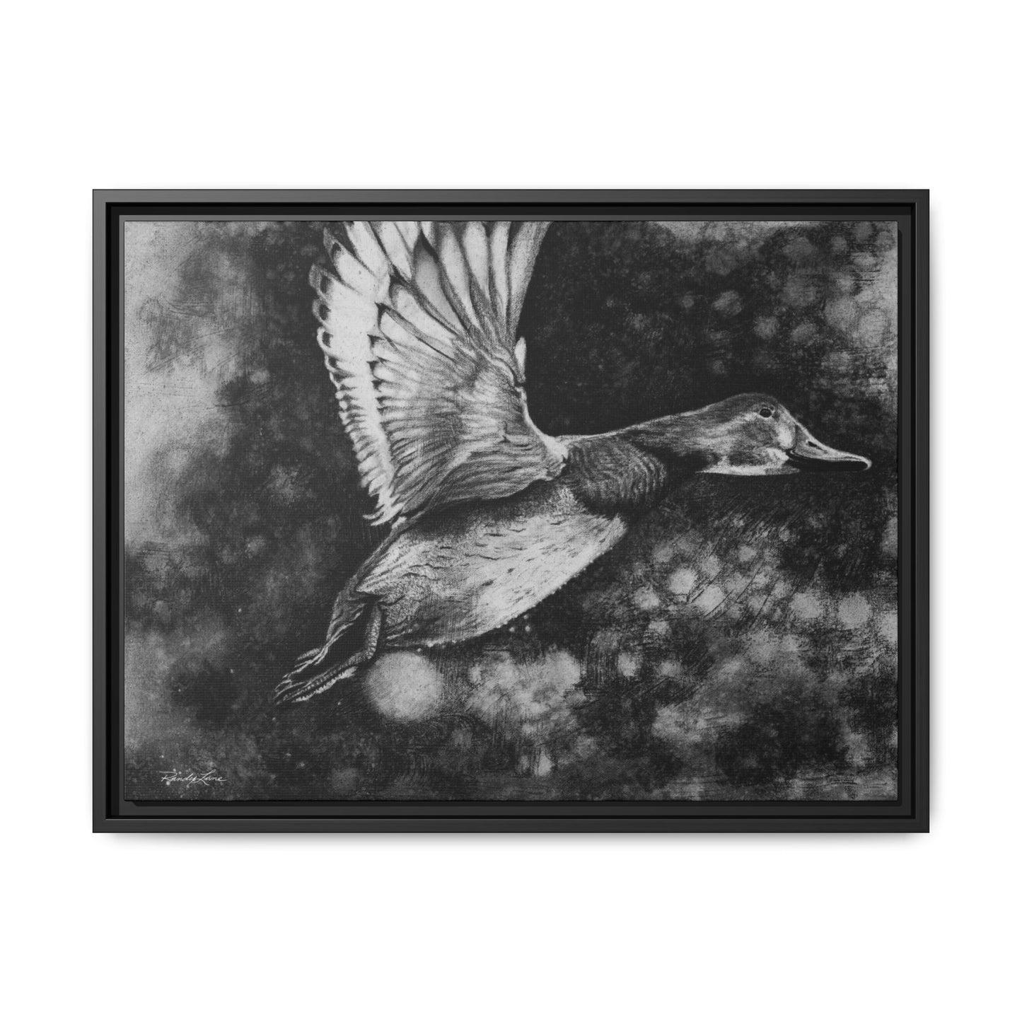 Flare, Framed Duck Canvas Art