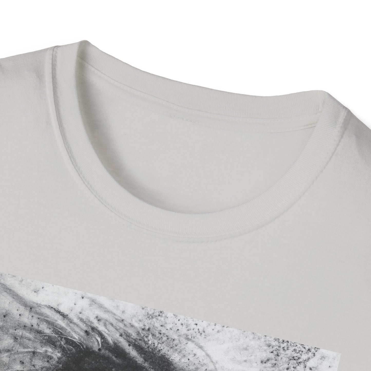 Let the Lion Roar, Lion Graphic Tee, Unisex T-Shirt