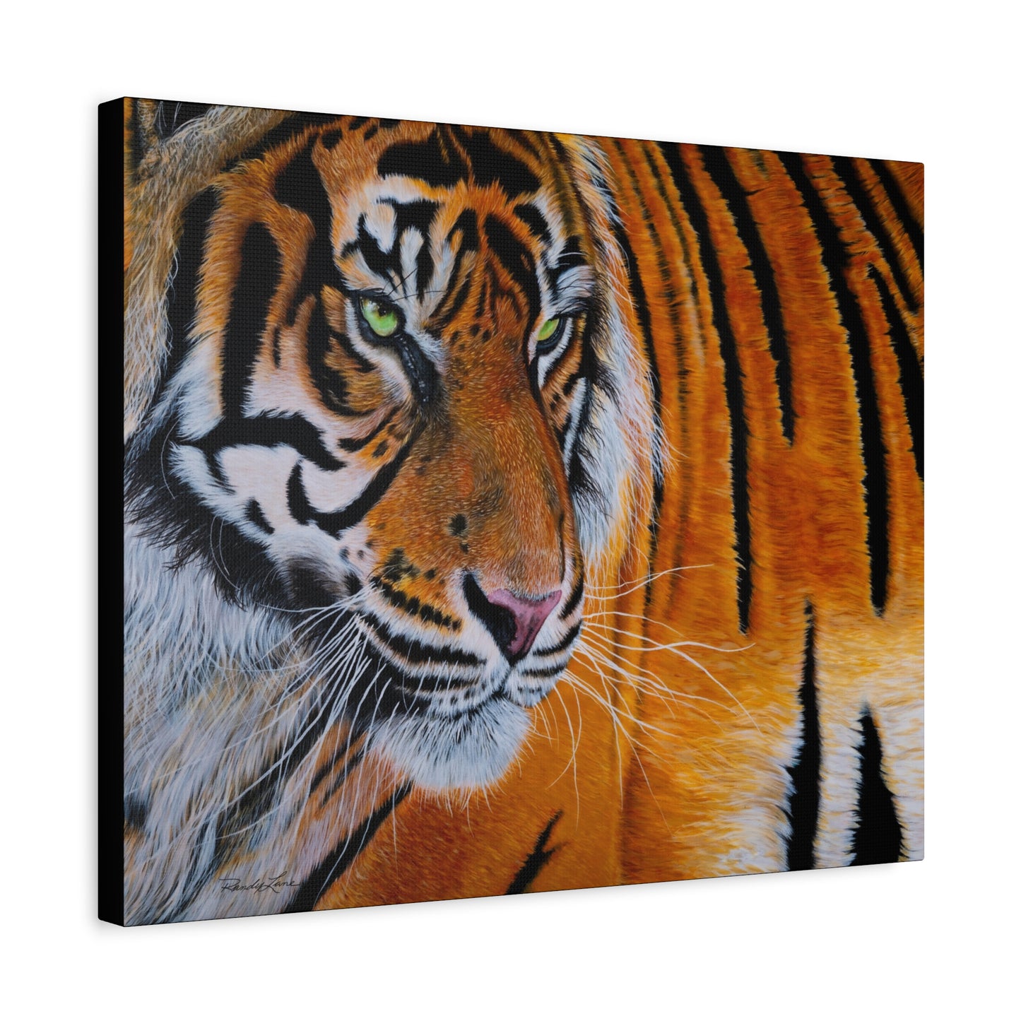 Tiger Stripe, Tiger Canvas Art