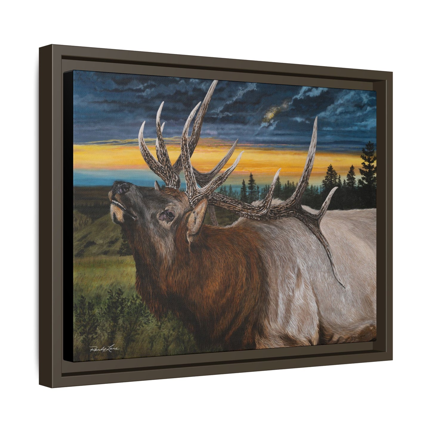 Sunset Serenade,  Elk Framed Matte Canvas Print